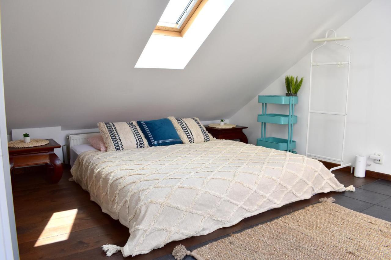 Appartement Lux Duplex Rooftop Loft With An Amazing Terrace & Cinema Prague