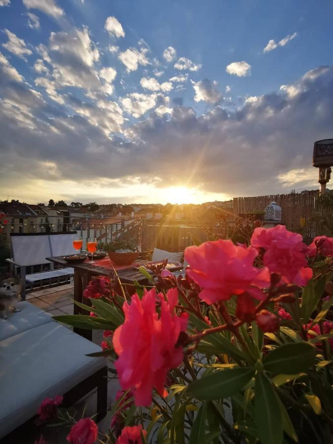 Lux Duplex Rooftop Loft With An Amazing Terrace & Cinema Appartement